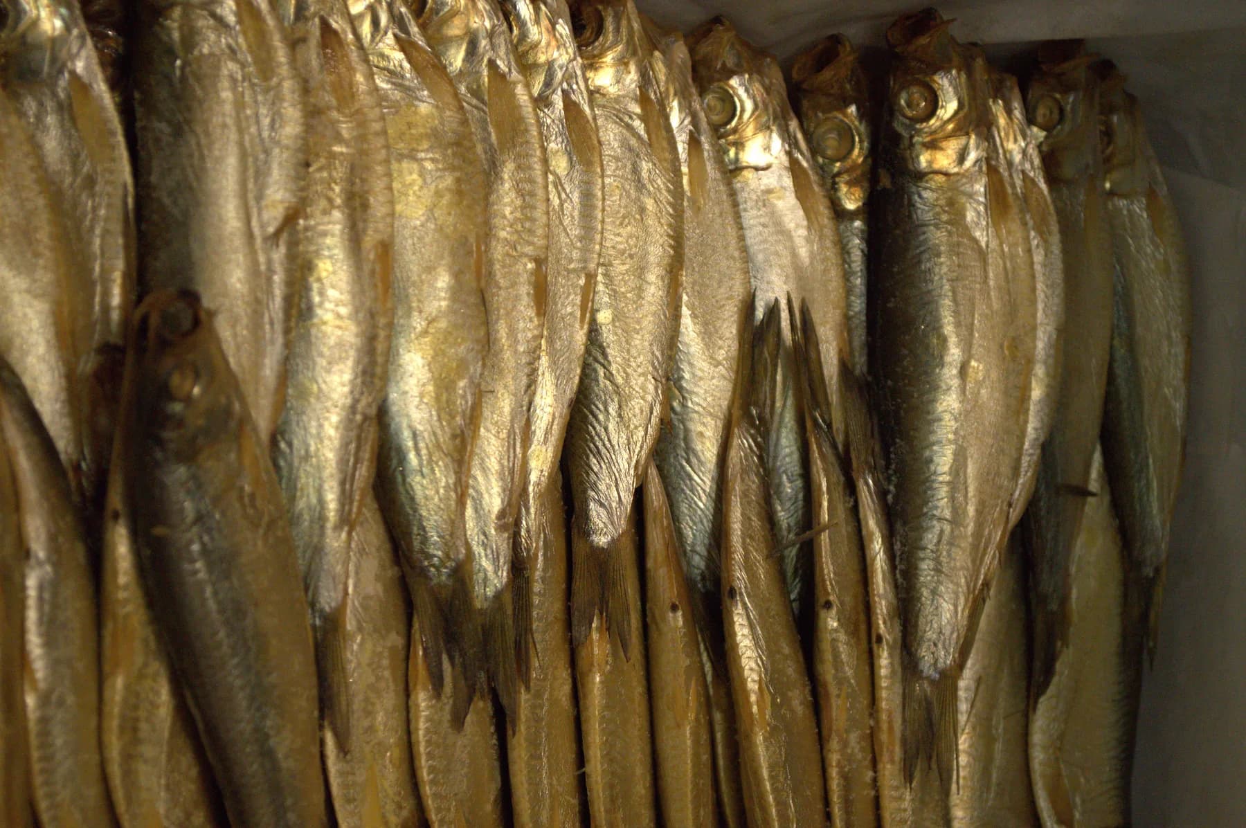Geräucherter Fisch, aufgereiht zum Trocknen